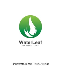 Creative Drop Water and Leaf Concept Logo Design Template