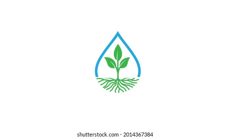 creative droplet leaves logo vector