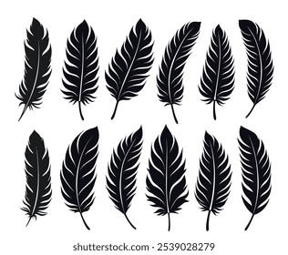 Creative Feather Icons Beautifully Designed Winged Shapes Vector	