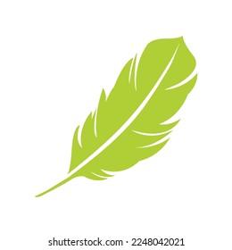 Creative feather vector art illustration