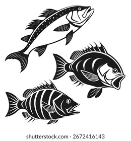Silueta de diseño de pescado creativo Vector aislado para la marca y la impresión