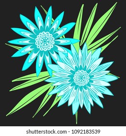 Creative Flower Composition. African Camomile Gasania or Gerbera. Bold Line Style. Vector Blue Flowers with Green Leaves in Ethnic Style for Card, Print, Pattern, Fabric, Textile or Your Design.
