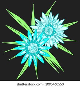 Creative Flower Composition. African Camomile Gasania or Gerbera. Bold Line Style. Vector Blue Flowers with Green Leaves in Ethnic Style for Card, Print, Pattern, Fabric, Textile or Your Design.