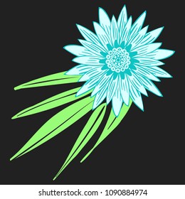 Creative Flower Illustration. Bold Line Style. African Camomile Gasania or Gerbera. Vector Blue Flowers with Green Leaves in Ethnic Style for Card, Print, Pattern, Fabric, Textile or Your Design.