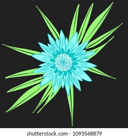 Creative Flower Illustration. Bold Line Style. African Camomile Gasania or Gerbera. Vector Blue Flowers with Green Leaves in Ethnic Style for Card, Print, Pattern, Fabric, Textile or Your Design.