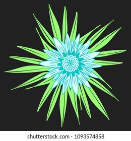 Creative Flower Illustration. Bold Line Style. African Camomile Gasania or Gerbera. Vector Blue Flowers with Green Leaves in Ethnic Style for Card, Print, Pattern, Fabric, Textile or Your Design.