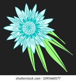 Creative Flower Illustration. Bold Line Style. African Camomile Gasania or Gerbera. Vector Blue Flowers with Green Leaves in Ethnic Style for Card, Print, Pattern, Fabric, Textile or Your Design.