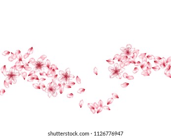 Creative flower petals flying vector background. Spring blossom elements, cherry, peach or apple bloom petals falling windy vector illustration.