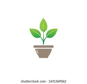 Creative Flower Plant Bowl Vase Logo Design Symbol Vector Illustration