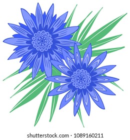 Creative Flower Stylization. African Camomile Gasania or Gerbera. Bold Line Style. Beautiful Blue Flowers Illustration with Green Leaves in Ethnic Style for Card, Print, Pattern, Fabric, Textile.