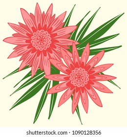 Creative Flower Stylization. African Camomile Gasania or Gerbera. Bold Line Style. Beautiful Detailed Flower with Leaves in Ethnic Style for Card, Print, Pattern, Fabric, Textile or Your Design.