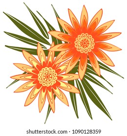 Creative Flower Stylization. African Camomile Gasania or Gerbera. Bold Line Style. Beautiful Detailed Flowers with Leaves in Ethnic Style for Card, Print, Pattern, Fabric, Textile or Your Design.