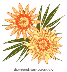 Creative Flower Stylization. African Camomile Gasania or Gerbera. Bold Line Style. Beautiful Detailed Flowers with Leaves in Ethnic Style for Card, Print, Pattern, Fabric, Textile or Your Design.