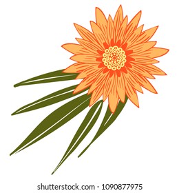 Creative Flower Stylization. African Camomile Gasania or Gerbera. Bold Line Style. Beautiful Detailed Flower with Leaves in Ethnic Style for Card, Print, Pattern, Fabric, Textile or Your Design.