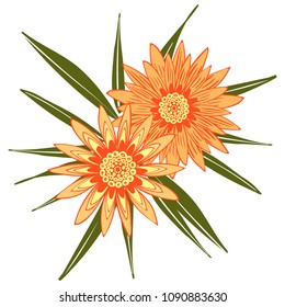 Creative Flower Stylization. African Camomile Gasania or Gerbera. Bold Line Style. Beautiful Detailed Flowers with Leaves in Ethnic Style for Card, Print, Pattern, Fabric, Textile or Your Design.