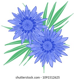 Creative Flower Stylization. African Camomile Gasania or Gerbera. Bold Line Style. Beautiful Blue Flowers Illustration with Green Leaves in Ethnic Style for Card, Print, Pattern, Fabric, Textile.