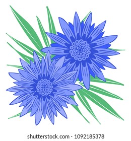 Creative Flower Stylization. African Camomile Gasania or Gerbera. Bold Line Style. Beautiful Blue Flowers Illustration with Green Leaves in Ethnic Style for Card, Print, Pattern, Fabric, Textile.