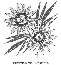 Creative Flower Stylization. African Camomile Gasania or Gerbera. Bold Line Style. Beautiful Detailed Flower with Leaves in Ethnic Style for Card, Print, Pattern, Fabric, Textile or Your Design.