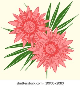 Creative Flower Stylization. African Camomile Gasania or Gerbera. Bold Line Style. Beautiful Detailed Flower with Leaves in Ethnic Style for Card, Print, Pattern, Fabric, Textile or Your Design.