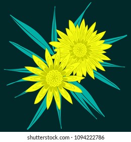 Creative Flower Stylization. African Camomile Gasania or Gerbera. Bold Line Style. Unusual Yellow Flowers with Blue Leaves in Ethnic Style for Card, Print, Pattern, Fabric, Textile or Your Design.