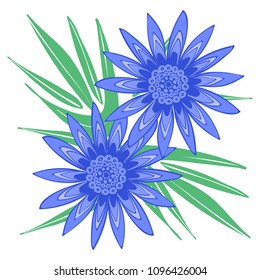 Creative Flower Stylization. African Camomile Gasania or Gerbera. Bold Line Style. Beautiful Blue Flowers Illustration with Green Leaves in Ethnic Style for Card, Print, Pattern, Fabric, Textile.