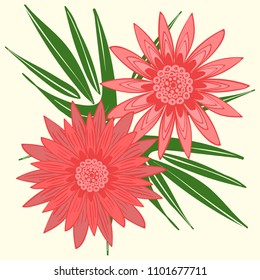 Creative Flower Stylization. African Camomile Gasania or Gerbera. Bold Line Style. Beautiful Detailed Flower with Leaves in Ethnic Style for Card, Print, Pattern, Fabric, Textile or Your Design.