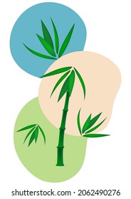 Creative flowing overlapping shapes, palm leaves. Cover for a natural product. Fashionable art for cover, poster, internet, page, social, media, postcards. Vector illustration