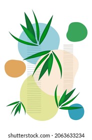 Creative flowing overlapping shapes, palm leaves. Cover for a natural product. Fashionable art for cover, poster, internet, page, social, media, postcards. Vector illustration