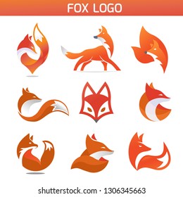 creative fox Animal Modern