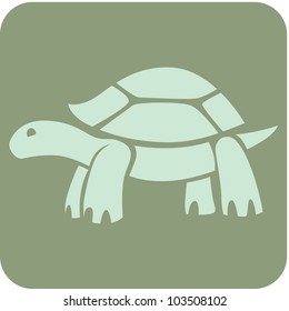 Creative Galapagos Tortoise Icon