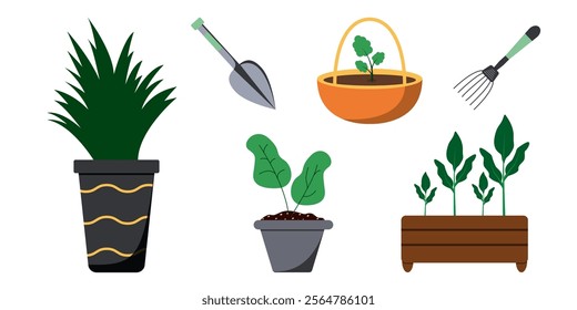 Creative gardening tools and plants in various containers for urban gardeners