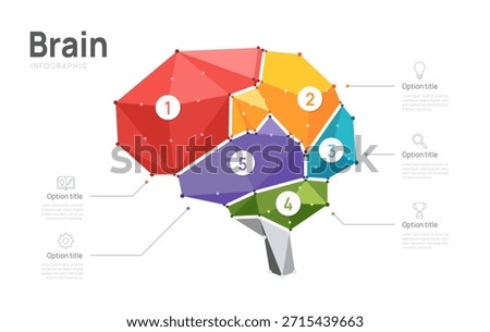 Creative geometric brain infographic template with 5 steps. Colorful low poly vector illustration for business, education, and psychology presentation.