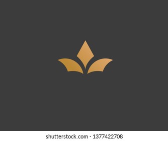 Creative geometric golden logo crown and petals flower beauty