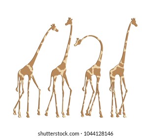 Creative giraffes illustration