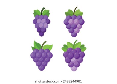 Creative Grape Vector Art for Designers