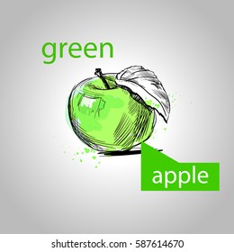 Creative graphic hand drawn apple painted in watercolor.