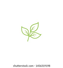 creative greeen leaf logo template