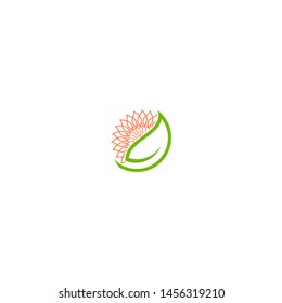 creative greeen leaf logo template