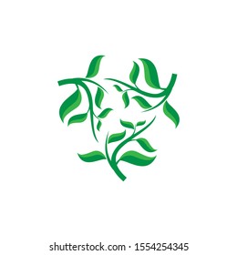 creative green leaf ecology nature element vector isolated on white background