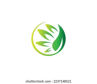 Vorlage für das Design des Vector-Symboles für kreatives grünes Leaf-Ökologie-Element.