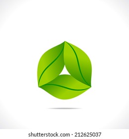 creative green leaf icon design vector