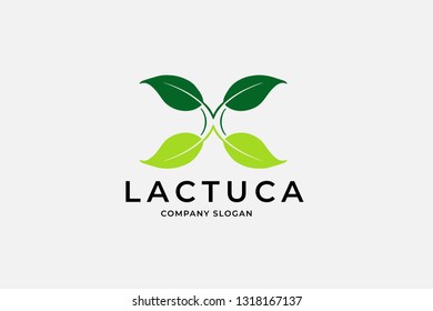 creative green leaf logo template