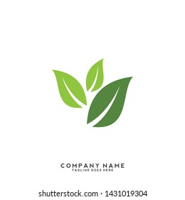 creative green leaf logo template