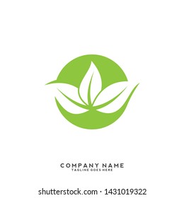 creative green leaf logo template