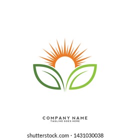 creative green leaf logo template