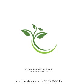 creative green leaf logo template