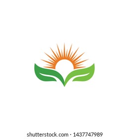 creative green leaf logo template