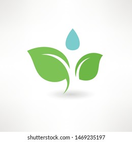 Creative green leaf logo template