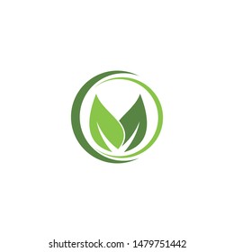 creative green leaf logo template