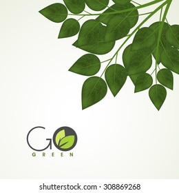 Creative green leaves on shiny background for Nature.
